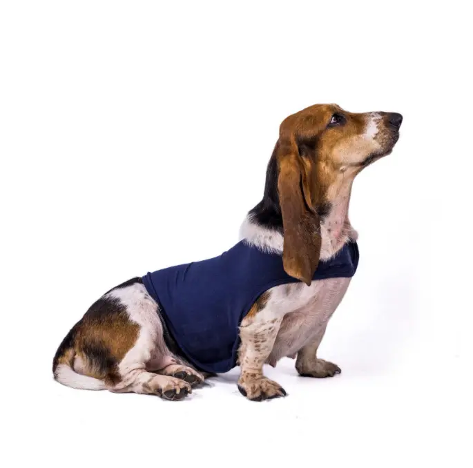 Dog Anxiety Vest Calming Thunder Shirt - Stress Relief Wrap Jacket for Dogs & Cats