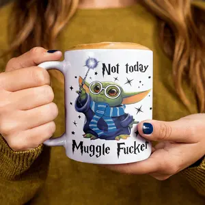 Choose your team, Not Today Mugglefucker Mug, 4 Colors to Choose From, Aguamenti! Green Alien Wizard, The Child Wizard, 11oz 15oz Ceramic