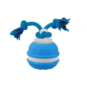 Winb Interactive LED Dog Ball - USB Rechargeable Motion-Activated Rolling Toy for Small Dogs, Dogs Ball Play and Wicked Fun