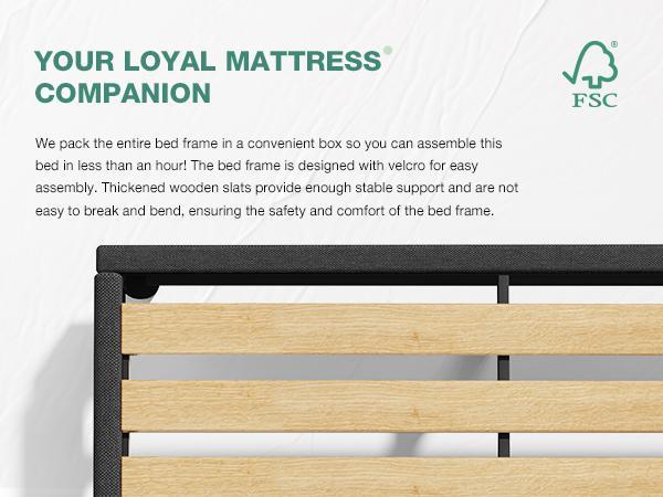 Bed Frame Upholstered Platform Full/Queen/King Bed Frame with Adjustable Headboard, Strong Weight Capacity, No Box Spring Needed, Easy Assembly, Grey Modern Unique Bedroom Furniture