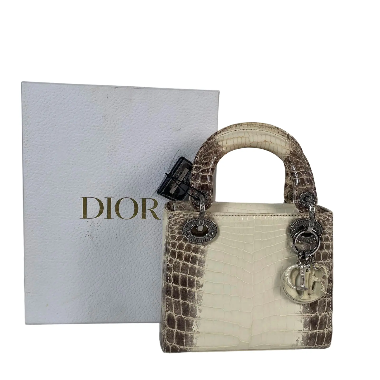 Pre-owned Dior Christian Himalayan Mini Lady bag with charm