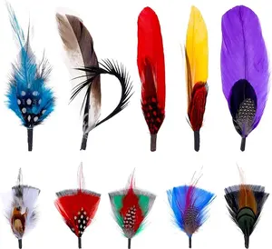 10PCS Hat Feathers, Vibrant Natural Feathers For Hats Women Men Cowboy Hat Accessories Real Feather for Crafting Fedoras Pork Pie Trilby Party Hats Diy Centerpieces Decoration