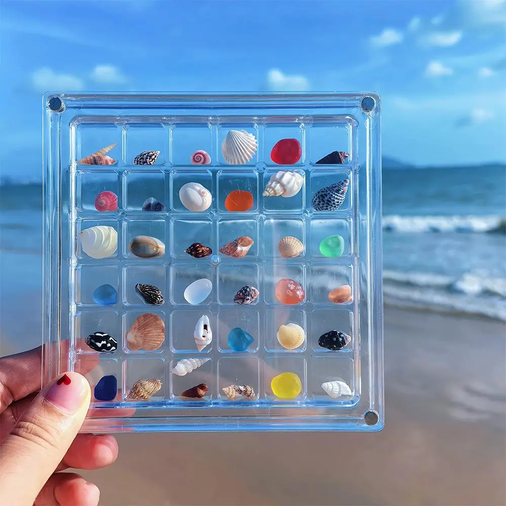 36-Grid Clear Shell Acrylic Display Box, Magnetic Transparent Storage Box for Shells, Home Decor, Gift for Collectors, Multi-Grid Organizer