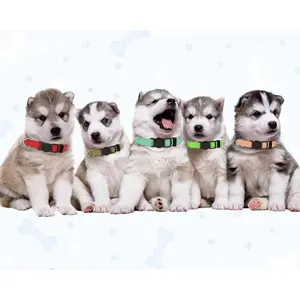 20 PCS Puppy Collars,Puppy Collars for Litter,Puppy Collars for Small Puppies,Nylon Breakaway Puppy ID Collars Whelping Collars Litter Collars(S)