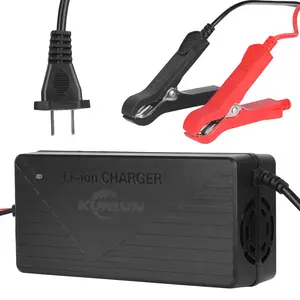 YJZPB 12V 20-Amp 20A Smart Fast Charger for Lithium Iron Phosphate (LiFePO4) Battery