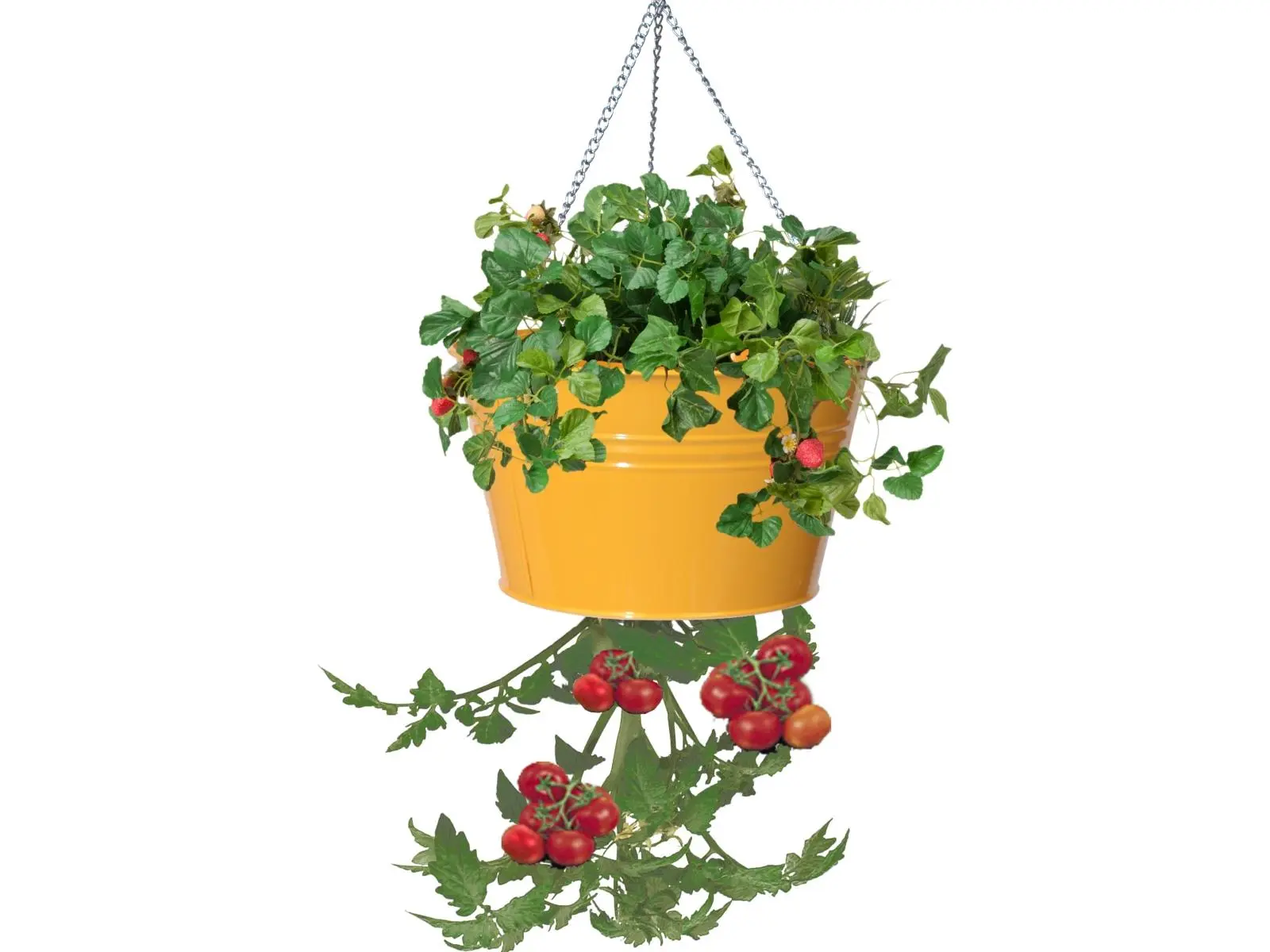 Enameled Galvanized Steel Upside Down Hanging Planter - For Strawberries, Herbs, Florals - Saffron