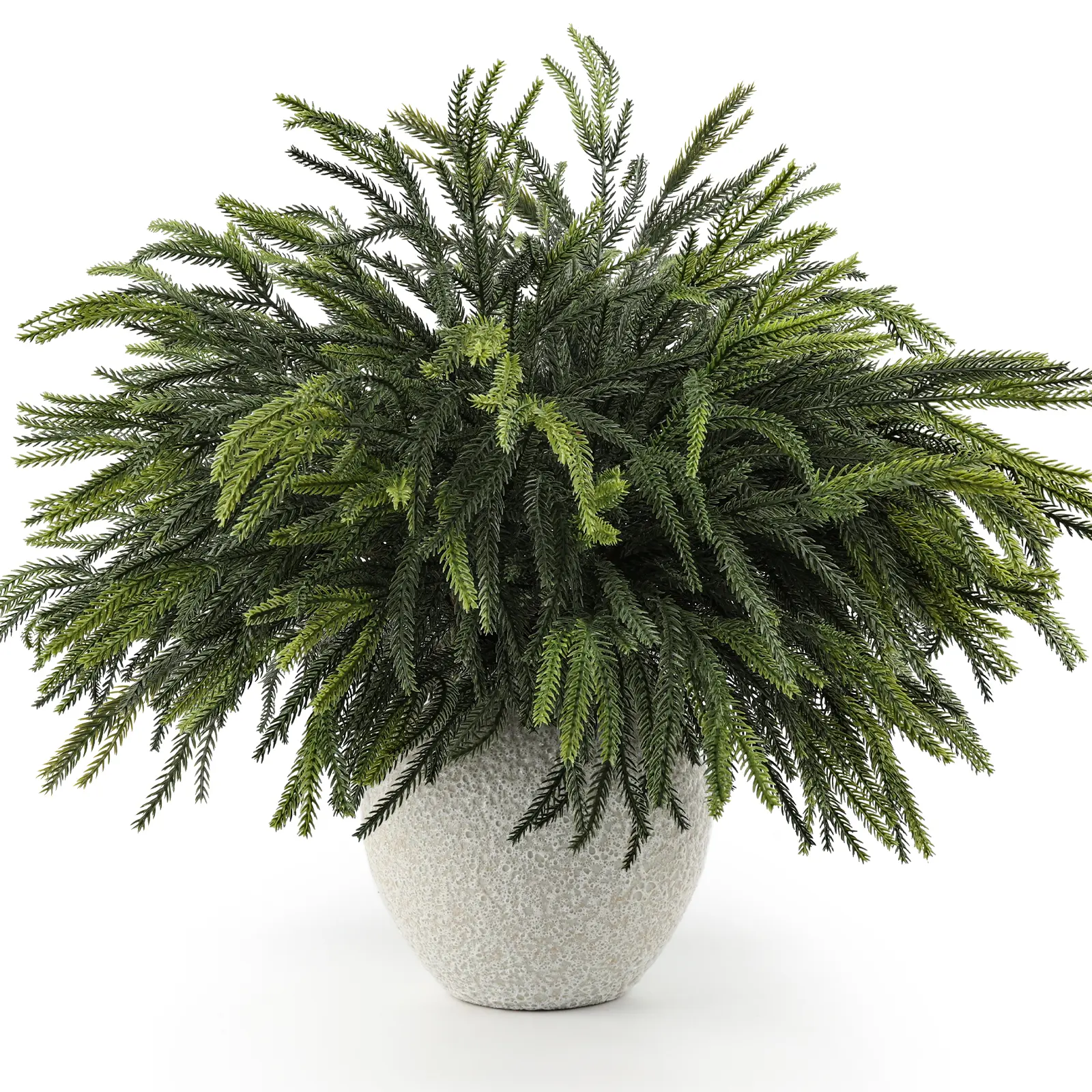 HIAGROW 12 PCS  24" Real Touch Norfolk Pine Stems – Artificial Evergreen Branches for Christmas Tree, Wreath, Garland, Vase & Holiday Home Decor