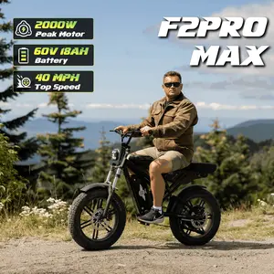 Freego Electric Motorcycle Dirt Bike for Adults, 2000W(Peak)/60V/18Ah, F2 Pro /F2 Pro Max 20" x 4.0" Fat Tires Electric Bicycle, Top Speed 34MPH & 50Miles Ebike 7 Speed Dual Hydraulic