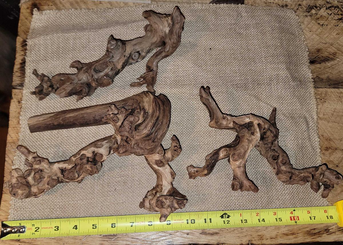 Item: Mopani driftwood (7-11 inch pack of 3)