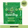 Waterboy Workout Hydration | 8x Electrolytes & Sugar Free | Plus L-Glutamine and Vitamins | Salty Flavor