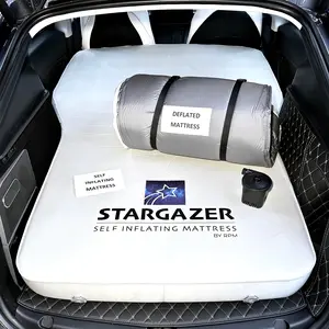 Stargazer Self-Inflating Memory Foam Mattress For Model S3XY,  Pump & Bag.  Free USA Ground Shipping