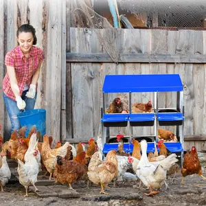 Blue Chicken Nesting Box with 6 Compartments, Lid Cover, Roll Away Design, Metal Bracket – Ideal Laying Boxes for Chickens