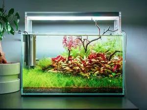 Rimless Aquarium, 3/4/5 Gallon Nano Tank, High Quality Glass Frameless Aquarium, Ultra Clear Fish Tank, Leveling Mat Included