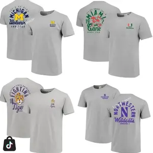 Custom University Graphic Mascot Overlay All Team 2 Side Grey COLOR T-shirt, Vintage Graphic Tee, Sport Fan Gift Shirt, Men's Regular Fit Graphic T-shirt, Men's Oversized Athletic T-shirt, College Shirt