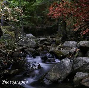 Signed Photo Print - Changing Seasons - Perfect for home and office decor