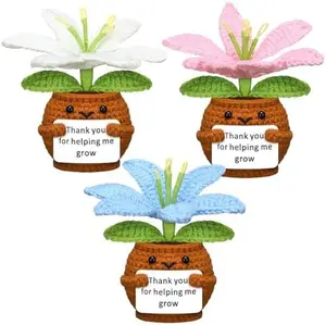 3 Pcs Valentine's Day Teacher Appreciation Gifts Positive Handmade Crochet Doll Thank You for Helping Me Grow Gifts for Women Men Teacher End of Year(Lily Flower)