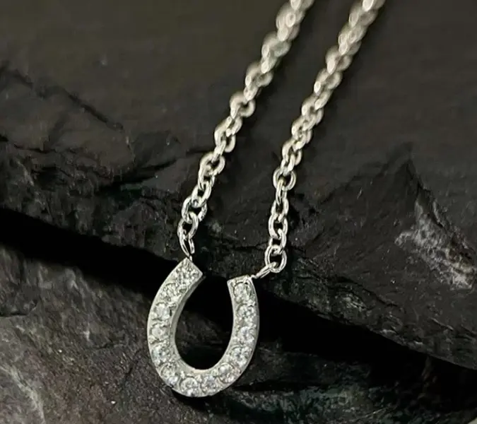 Lucky Path Horseshoe Necklace -Silver & Crystal Charm