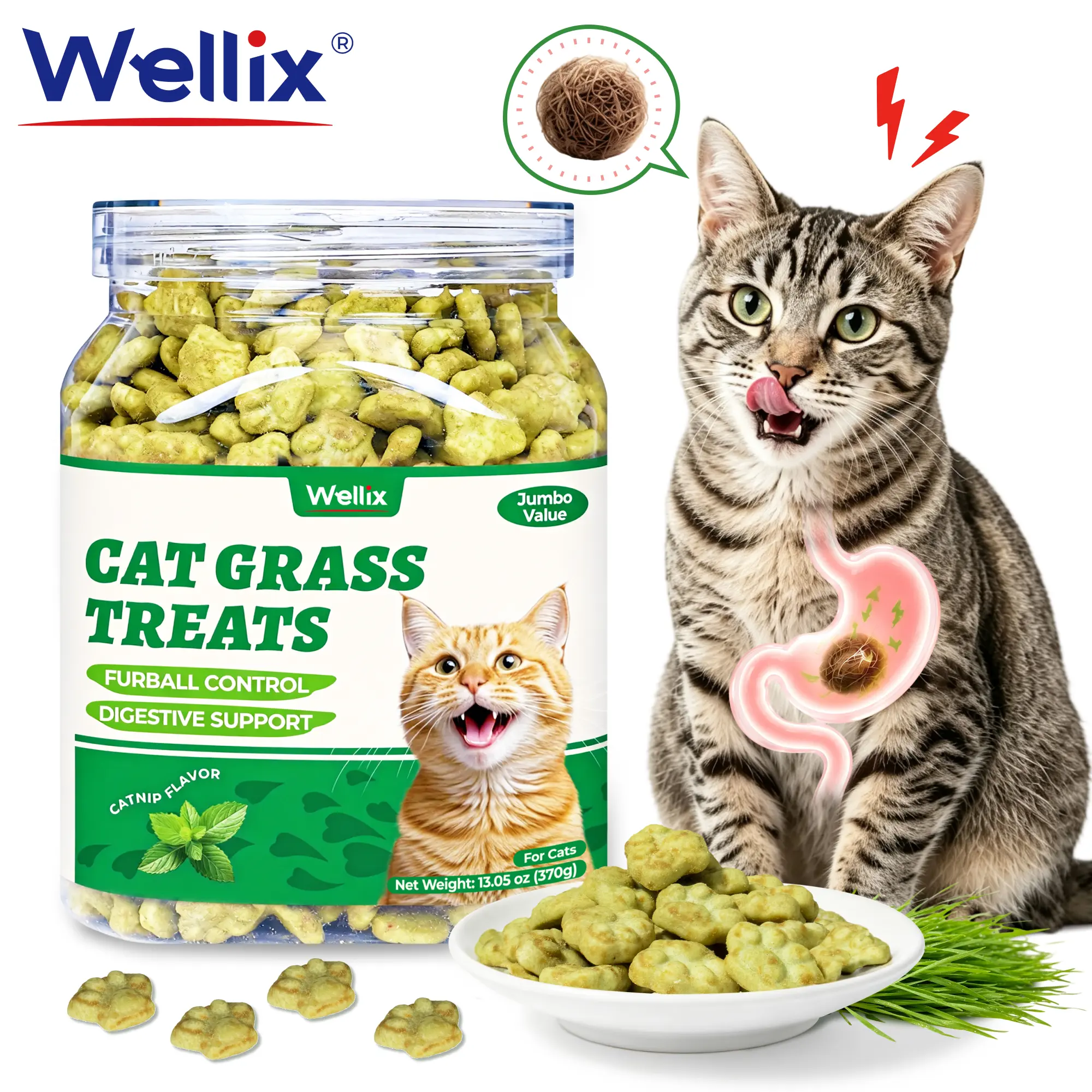 Wellix Cat Treats for Indoor Cats Hairball Control Natural Salmon Healthy Cat Grass Treats Kitten Snacks Training Biscuits Catnip for Cats Dental Care 3.1/13oz,#backtoschool