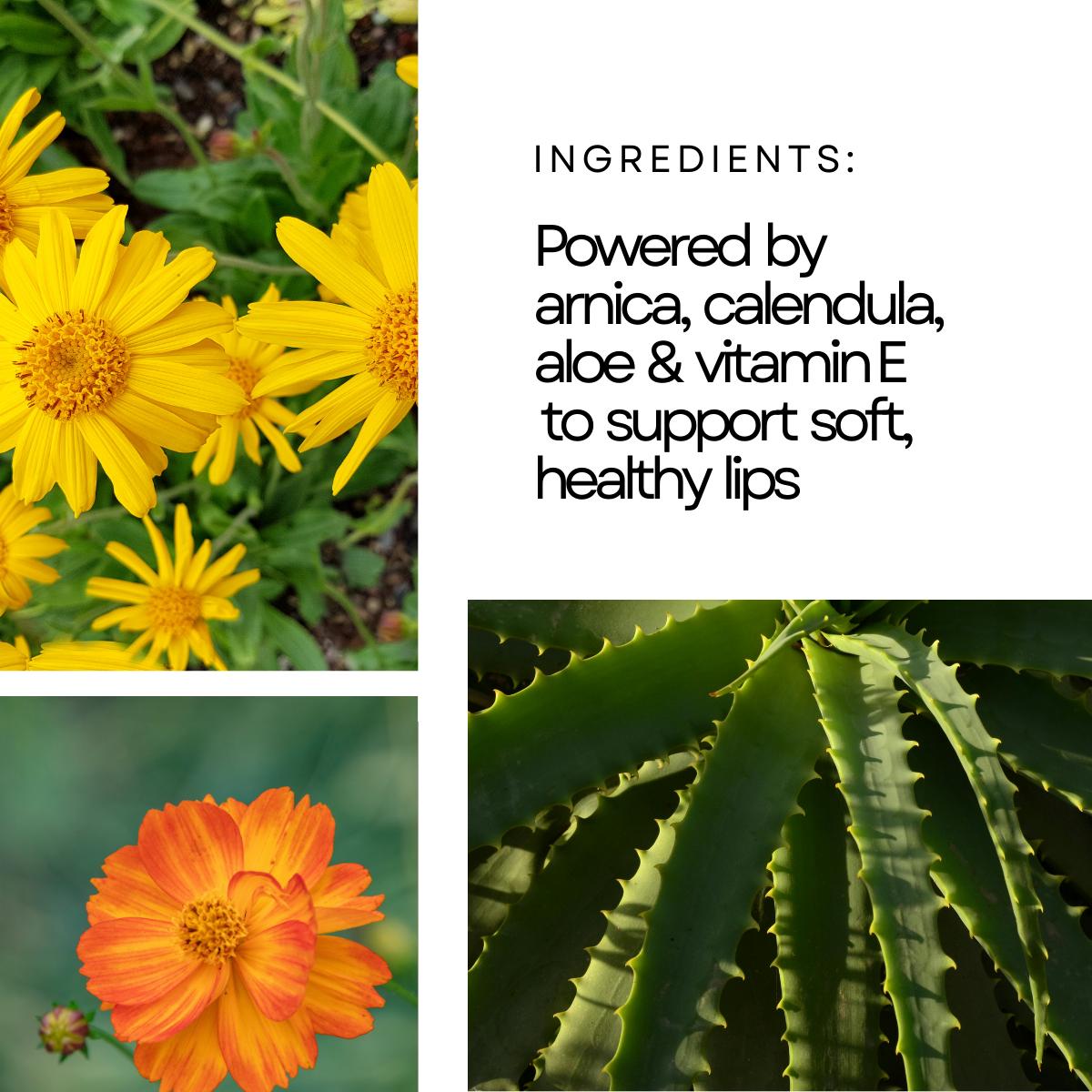 Bowler Lip Gloss - Renewal Treatment with Arnica Calendula Aloe and Vitamin E for Hydrated Smooth Lips 15 mL