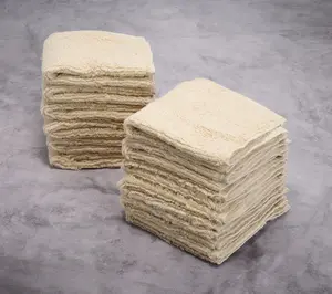 Northern Nights Micro-Cotton 12-pc Washcloths