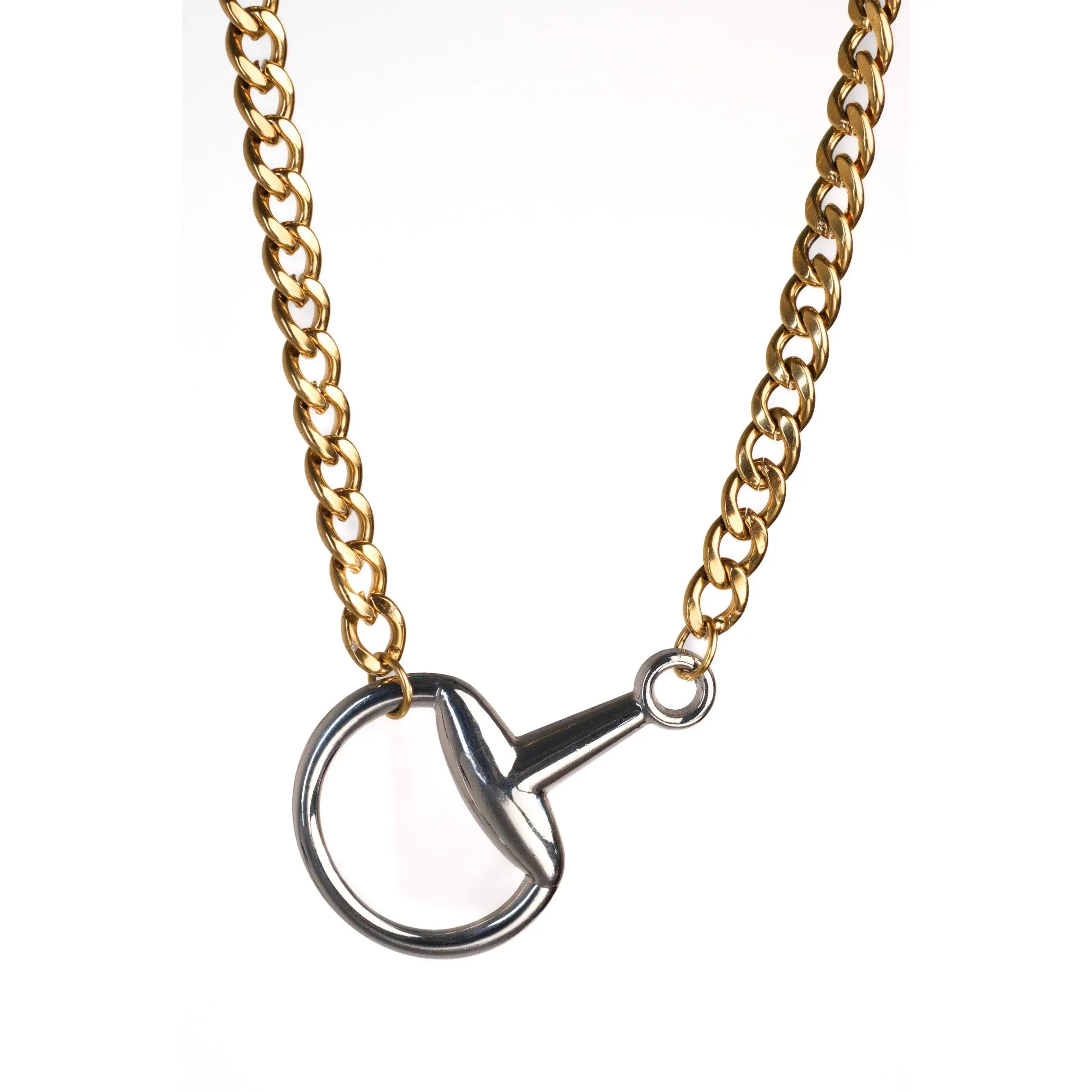 In Control Horse Bit 316L Stainless Steel Necklace - 16" Tarnish-resistant Water-friendly Hypoallergenic Nickel-free Pendant Exquisite Jewelry Gift Exquisite Chain Jewelry, Horse Pendant Necklaces, Animal-Shaped Necklaces