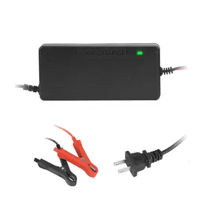 12V 10-Amp 10A Smart Fast Charger for Lithium Iron Phosphate (LiFePO4) Battery