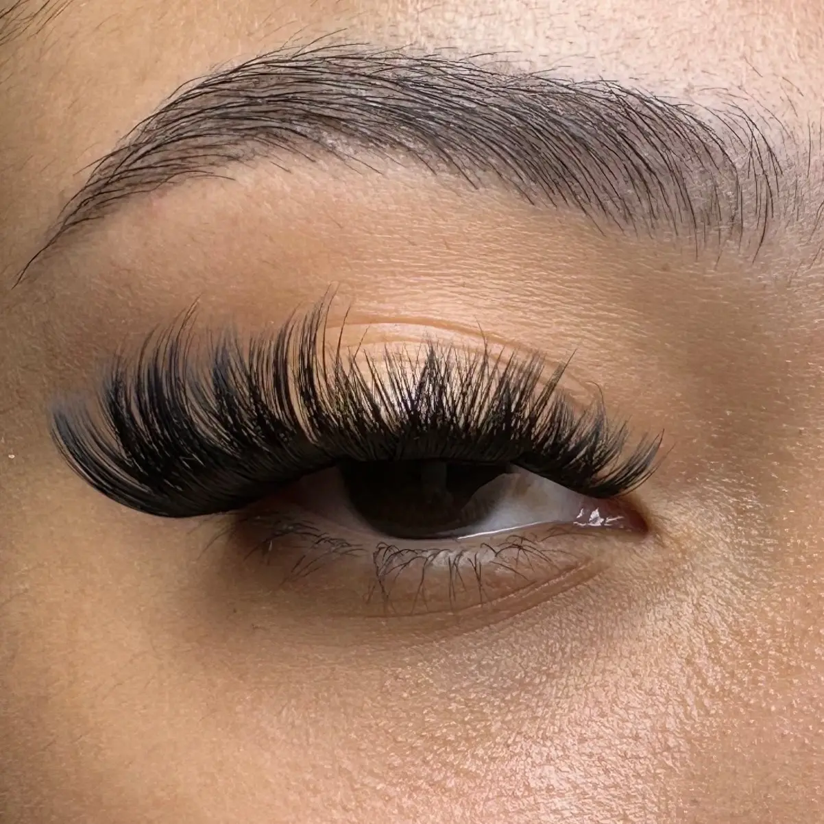 Dramatic Volume Lash Clusters Dramatic Volume Lash Clusters