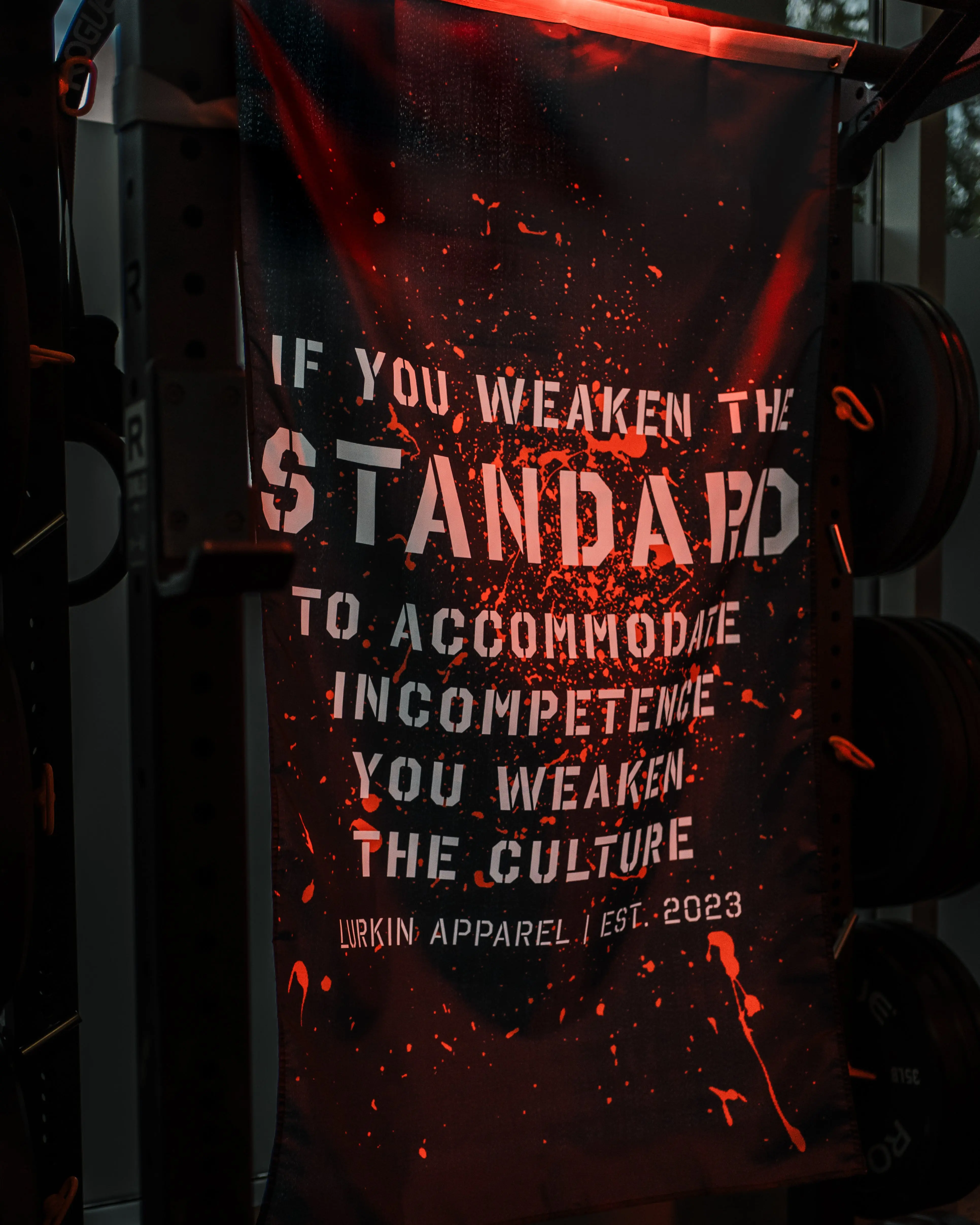 THE STANDARD FLAG Durable 3x5 ft Tapestry Flag, for Garage Gym, Locker & Team Home Decor