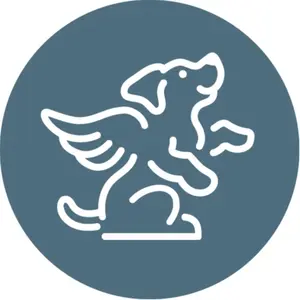 background preload poster image 