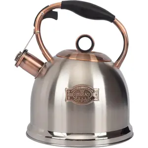 Food Grade Stainless Steel Stovetop Tea Kettle, Fast Boil Hot Water 3.0Q for Stove Top