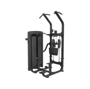 Echo Strength - Commercial Assisted Chin Dip Combo Machine
