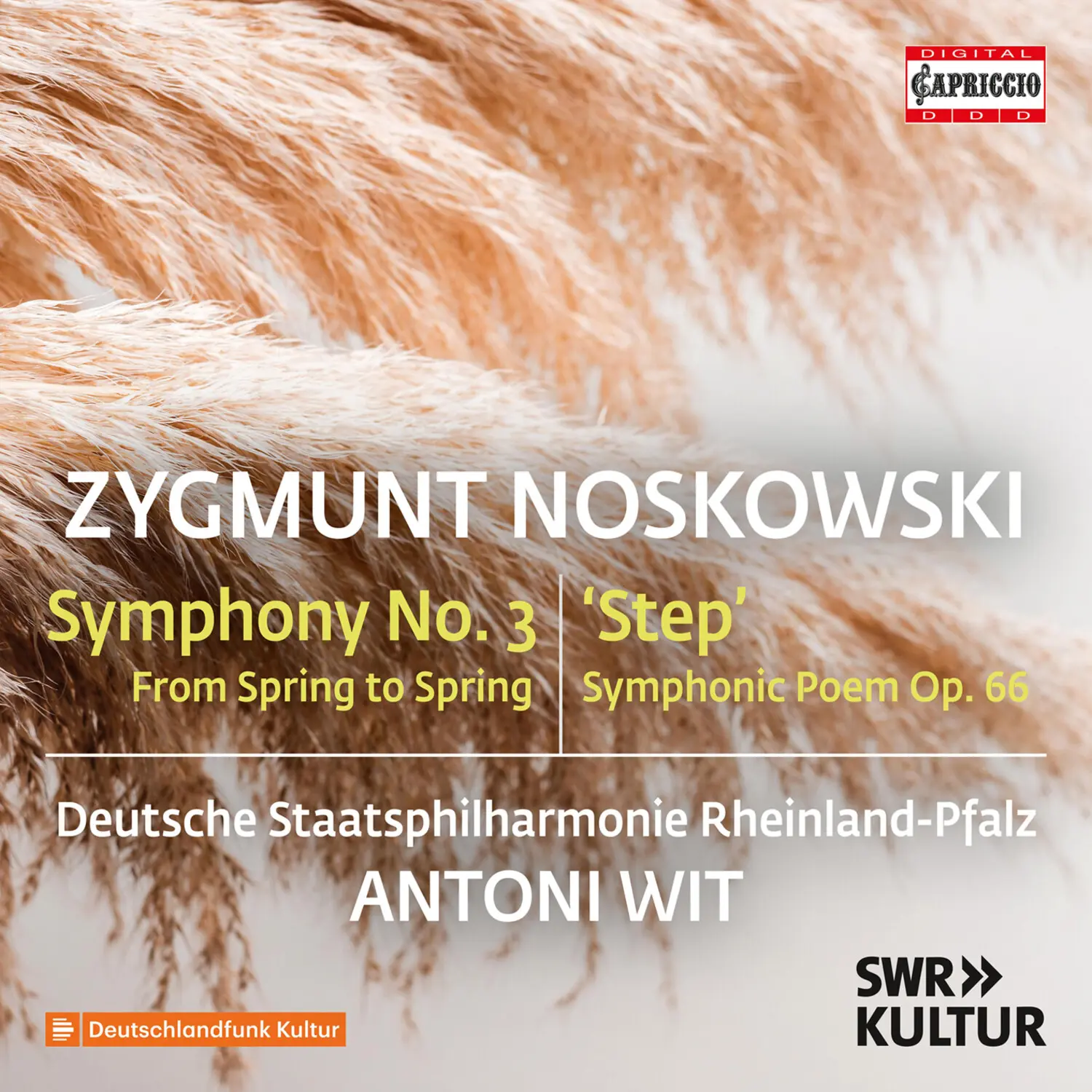 Deutsche Staatsphilharmonie Rheinland-Pfalz - Zygmunt Noskowski: Symphony No. 3 (4 Movements) Classical Music CD - Single Disc Orchestra Music CD, Music Cds, Four Movements