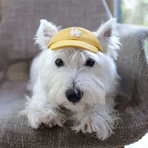 pet caps