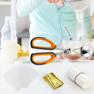 Lollipop Cake Pop Treat Bag Set, Meat Baller with Handles + 100 Parcel Bags + 100 Papery Treat Sticks + 100 Metallic Twist Ties, Cake Pops Making Tools for Candies, Chocolates and Cookies