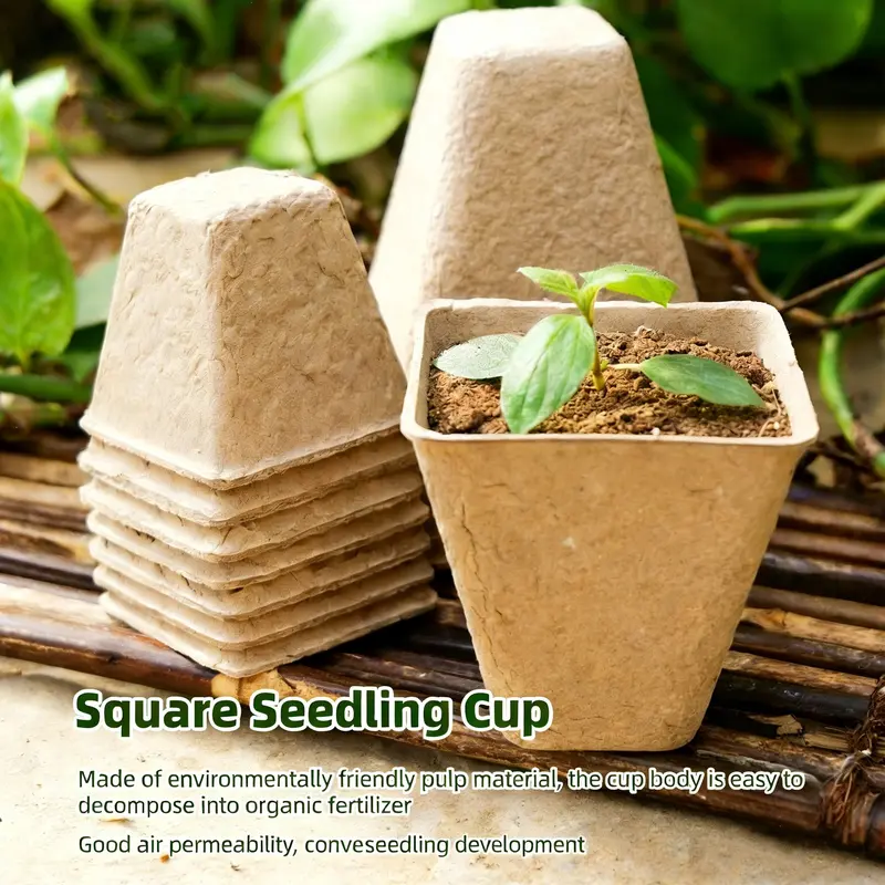biodegradable plant pots wholesale - TikTok Shop