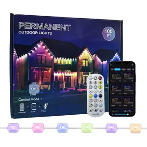 1 Pack Permanent DIY Outdoor Light That Can be Controlled by APP/Voice/Remote. RGBIC Smart Eaves Light, IP67 Waterproof, Smart Outdoor Lights. Suitable for Year-Round Outdoor Lighting on House Roofs. Can be Used for Christmas, Holidays, Etc, 30 LEDs