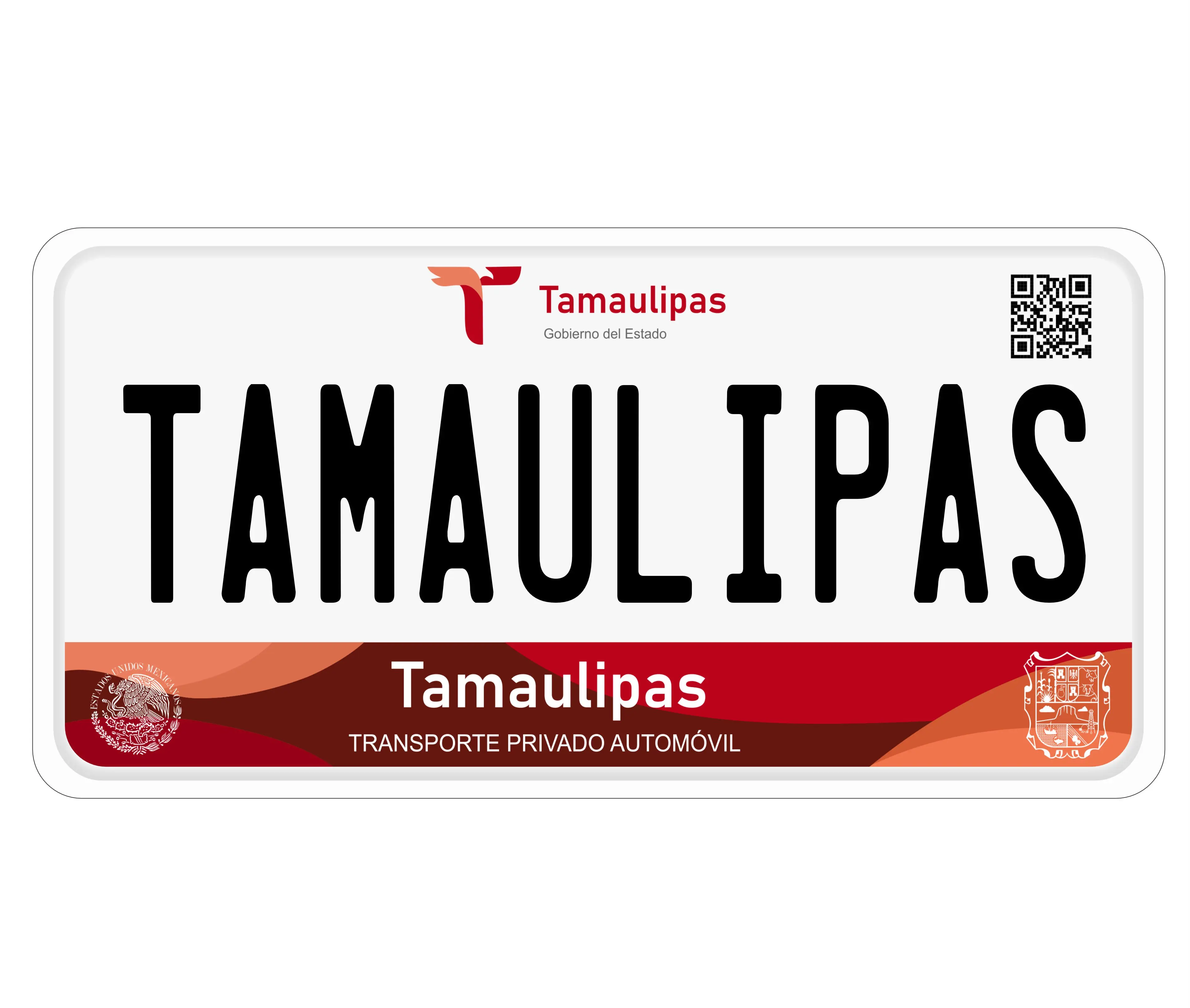Placas de Tamaulipas Pesonalizadas - Personalized License Plates