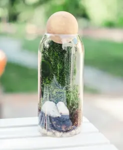 Live Moss Terrarium Kit with terrarium container & all the materials you need | birthday gift | self-sustaining terrarium kit