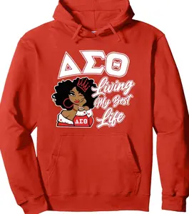 Delta Sigma Theta Sorority Paraphernalia, Delta 1913 HBCU Pullover Hoodie