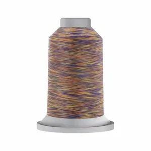 Affinity Variegated Polyester Thread 40wt 3,000yds King Spool Neon