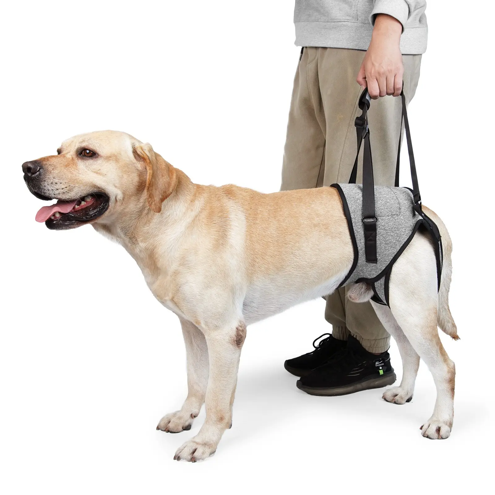 Dog Lift Harness, Dog Sling for Medium Large Dogs, Adjustable Dog Support Harness for Back Legs, Comfy Design Pet Harness with Padded for Elderly, Injured, Arthritic, Senior, Disabled Dogs
