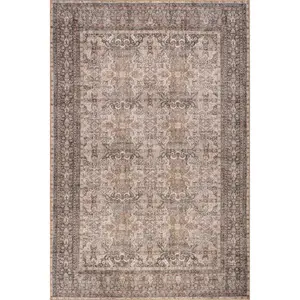 Hillstone Collection Else Traditional Vintage Medallion Area Rug