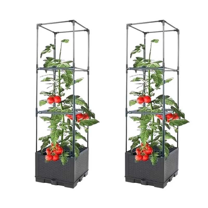 Self-Watering Tomato Planters with Racks, Indoor Climbing Vegetable Cage,  Outdoor Tomato Planter Box, Raised Garden Bed Container, Elevated Planting  Boxes - TikTok Shop
