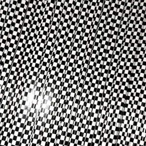 checkered plastic reusable straws