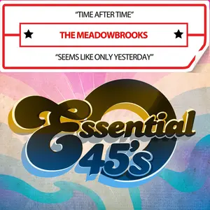 Meadowbrooks - TimeAfterTime/SeemsLikeOnlyYesterday(Digital45)  [COMPACT DISC - CD]