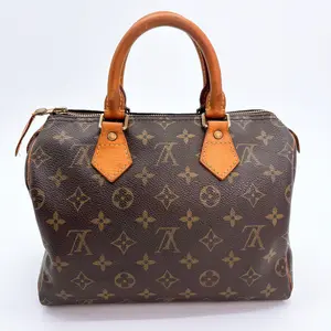 Pre-owned Louis Vuitton Monogram Speedy 25