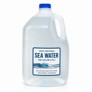 Dlo Lanmè Sea Water Gallon