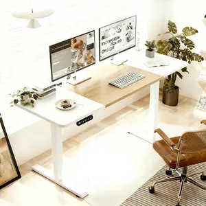 55 Inch White+Oak Desktop Sit Stand Desk (Home Office, Study & Gaming Ergonomic Electric Adjustable Height Desk) - 27"To 45"Height, 4 Memory Presets & 20W Fast Charging