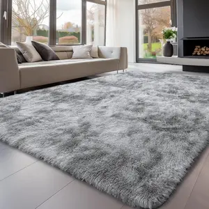 Shag Area Rugs for Bedroom Living Room,Ultra Soft Fluffy Area Rugs for Dorm, Indoor Carpet Nursery Rugs for Kids Room Home Decor, Shaggy Fuzzy Rugs