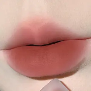 Budget-Friendly Velvet Matte Lip Cream Waterproof 16H Wear Whitening Vegan Formula Flawless Gloss Smoothing Plumping Nude Lipstick Soft Pink Light Matte Lip Gloss Nourishing Cosmetic Makeup
